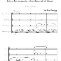 Ενδεικτική φωτογραφία τεκμηρίου